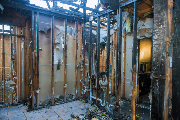 Professional Fire Damage Removal technician working in Fort Meade, FL